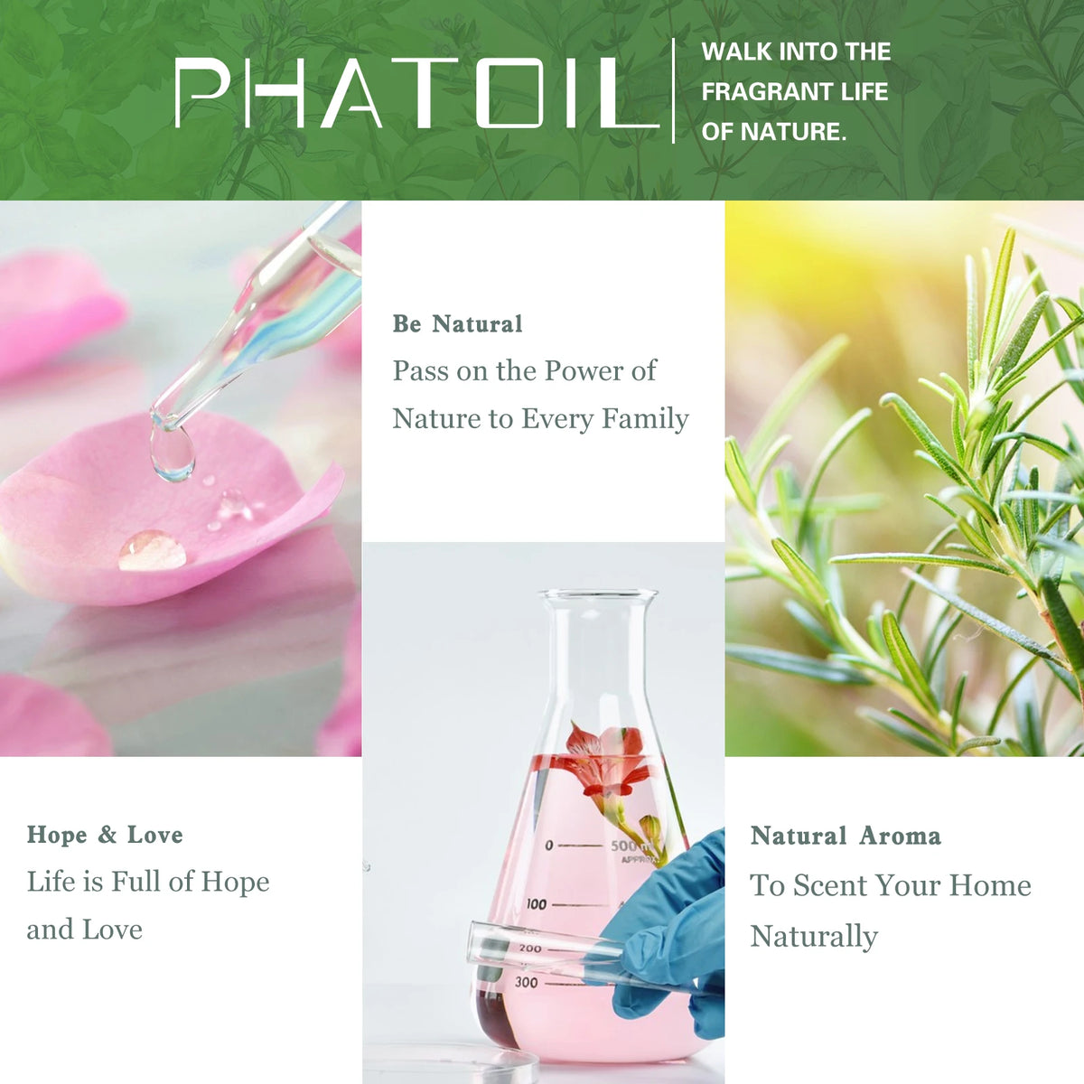 PHATOIL Natural Plant Essential Oil 10ml - Eucalyptus, Lavender &amp; More