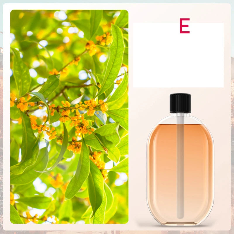 Automatic Diffuser Aromatherapy Machine – Effortless Home Fragrance Experience